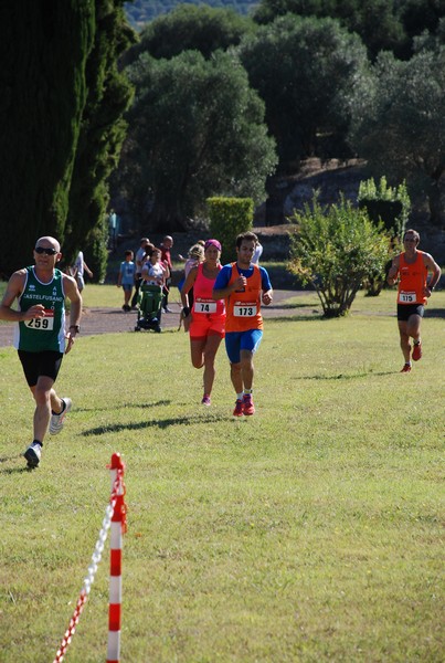 Corsa delle 3 Ville (C.E.) (14/09/2014) 00014