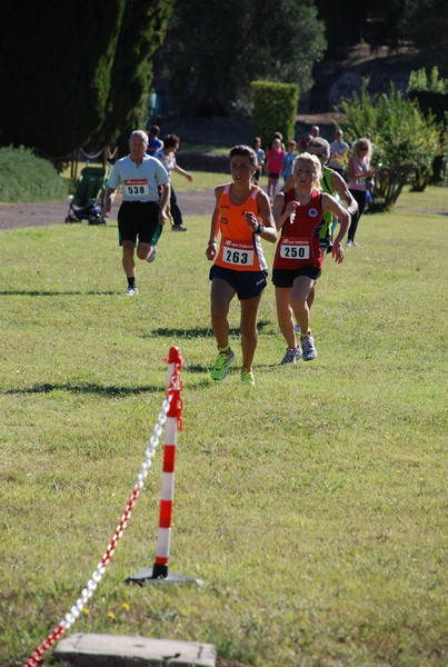 Corsa delle 3 Ville (C.E.) (14/09/2014) 00089