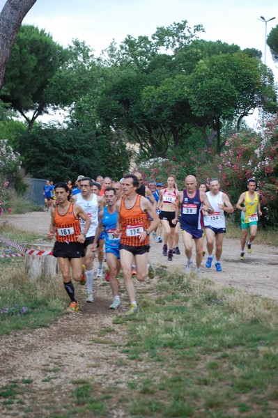 Solstizio d'estate (18/06/2014) 00008
