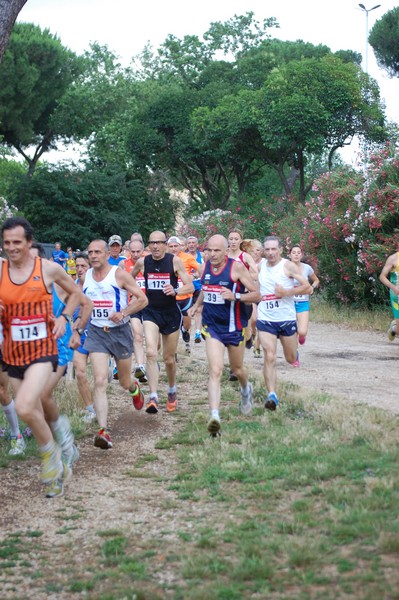Solstizio d'estate (18/06/2014) 00010