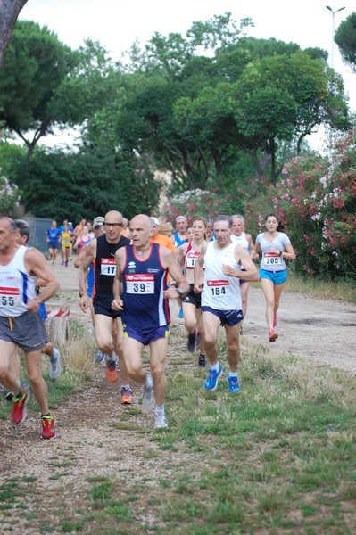 Solstizio d'estate (18/06/2014) 00011
