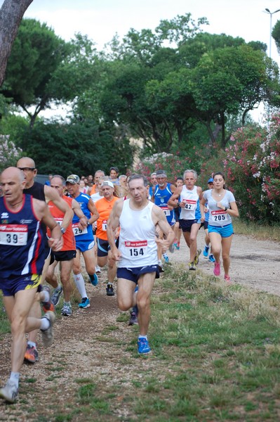 Solstizio d'estate (18/06/2014) 00012