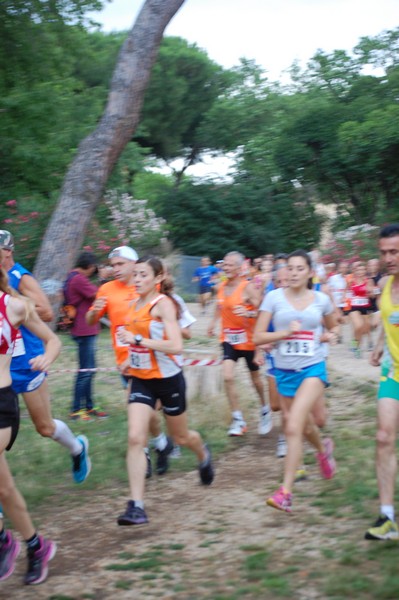 Solstizio d'estate (18/06/2014) 00014