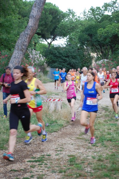 Solstizio d'estate (18/06/2014) 00018