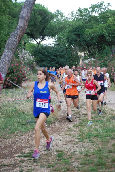 Solstizio d'estate (18/06/2014) 00019