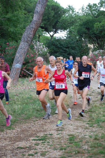 Solstizio d'estate (18/06/2014) 00021