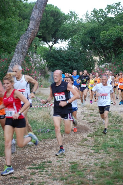 Solstizio d'estate (18/06/2014) 00022
