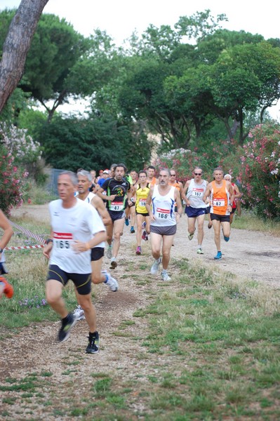 Solstizio d'estate (18/06/2014) 00024