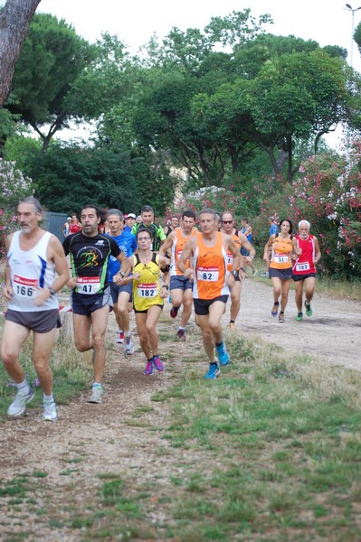 Solstizio d'estate (18/06/2014) 00027