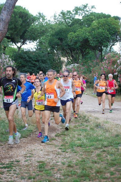 Solstizio d'estate (18/06/2014) 00028
