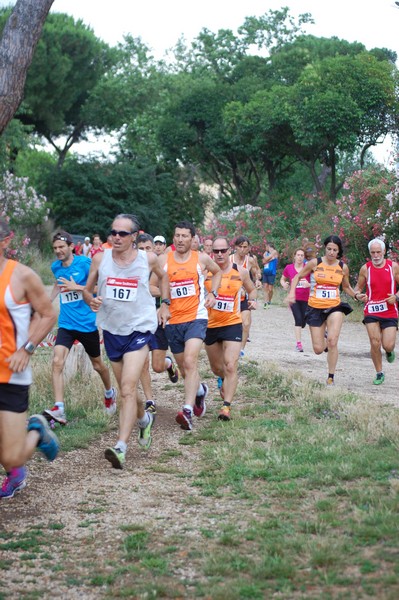 Solstizio d'estate (18/06/2014) 00029