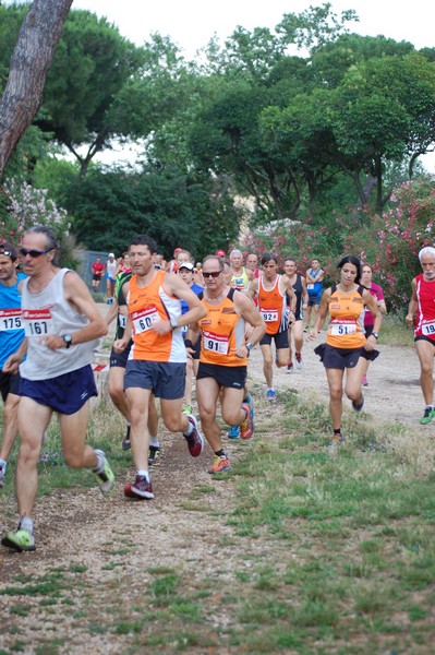 Solstizio d'estate (18/06/2014) 00030
