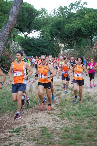 Solstizio d'estate (18/06/2014) 00031