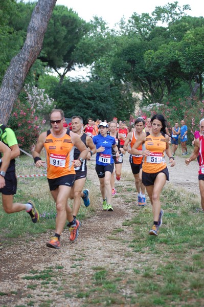 Solstizio d'estate (18/06/2014) 00032
