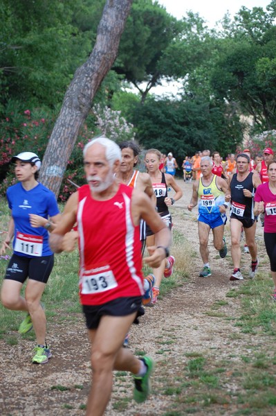 Solstizio d'estate (18/06/2014) 00035