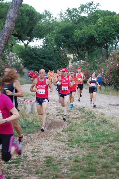 Solstizio d'estate (18/06/2014) 00038