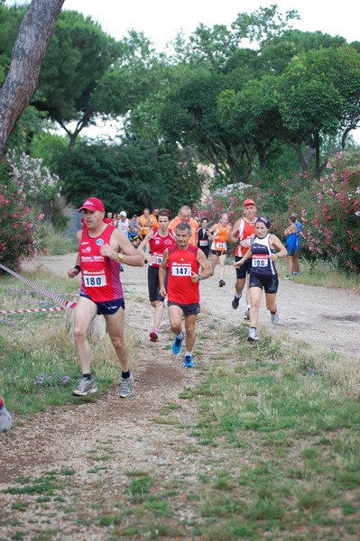 Solstizio d'estate (18/06/2014) 00039