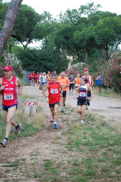 Solstizio d'estate (18/06/2014) 00040