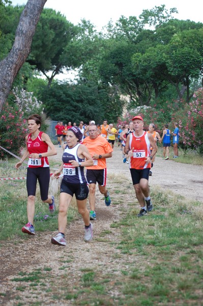 Solstizio d'estate (18/06/2014) 00042