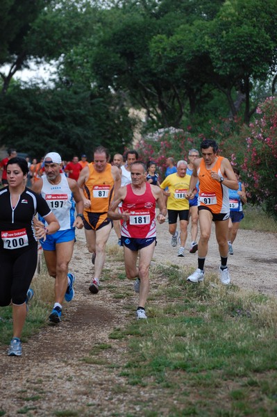 Solstizio d'estate (18/06/2014) 00050