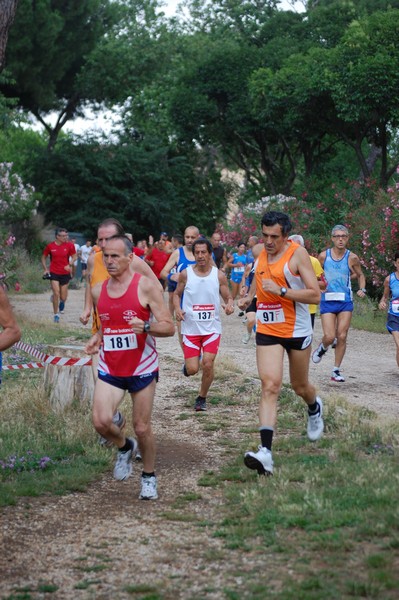 Solstizio d'estate (18/06/2014) 00052