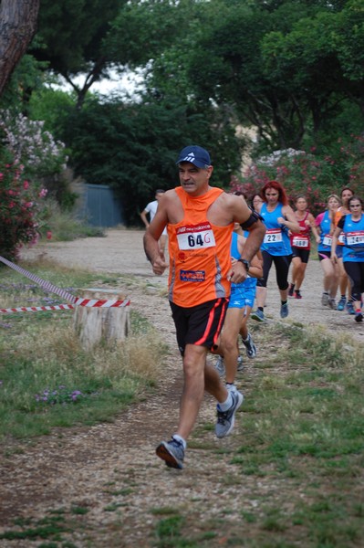 Solstizio d'estate (18/06/2014) 00069