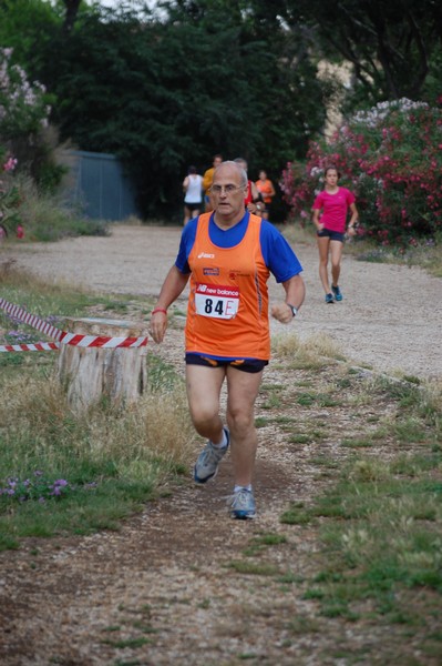 Solstizio d'estate (18/06/2014) 00083