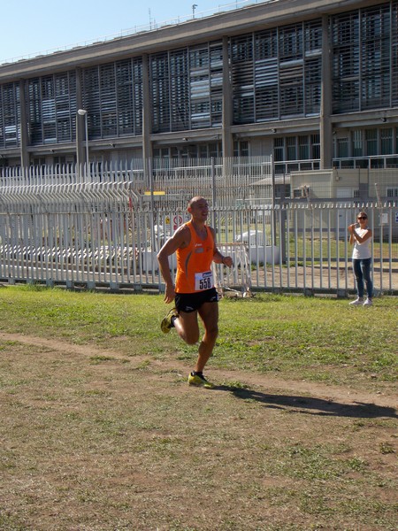 Trofeo Arancini Podistica Solidarietà (28/09/2014) 045