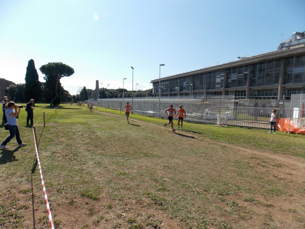 Trofeo Arancini Podistica Solidarietà (28/09/2014) 051