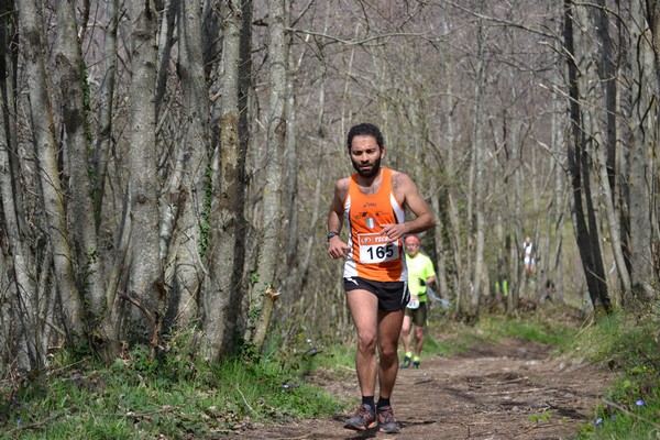 Trail della Capitale (Crit. Trail) (30/03/2014) 030