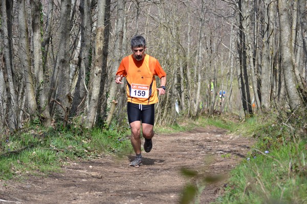 Trail della Capitale (Crit. Trail) (30/03/2014) 053