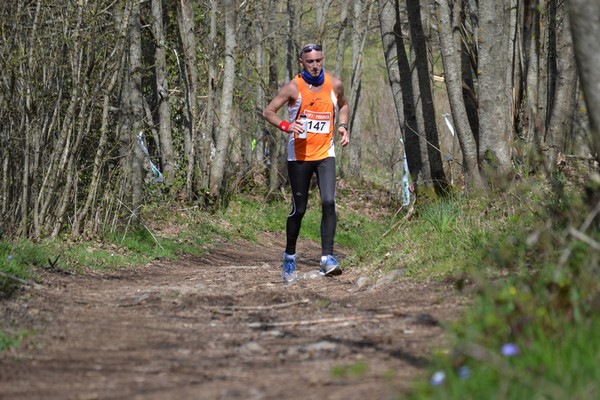 Trail della Capitale (Crit. Trail) (30/03/2014) 060
