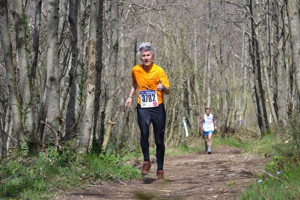 Trail della Capitale (Crit. Trail) (30/03/2014) 096