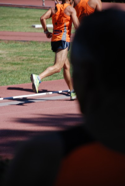 Staffetta 12 x 1 ora (C.E.) (13/09/2014) 00115