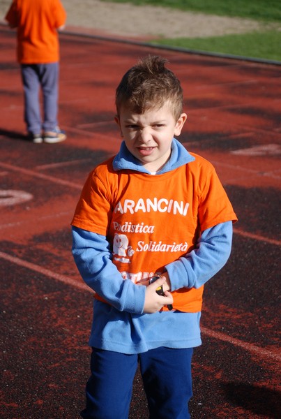 Corso di Atletica Leggera (15/02/2014) 00012