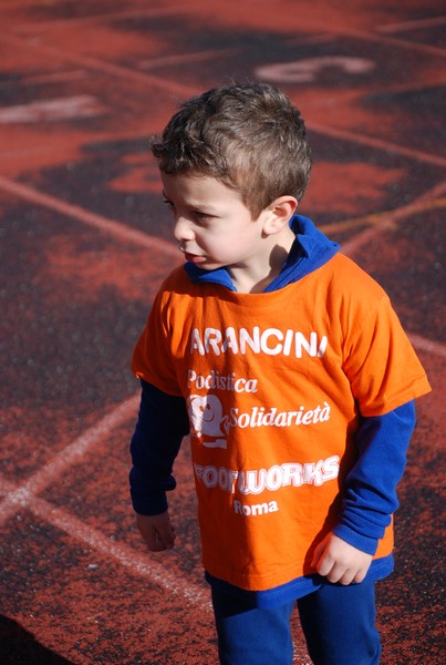 Corso di Atletica Leggera (15/02/2014) 00026