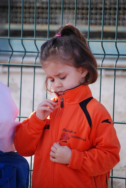 Corso di Atletica Leggera (15/02/2014) 00029