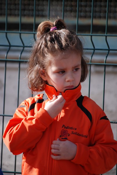 Corso di Atletica Leggera (15/02/2014) 00030