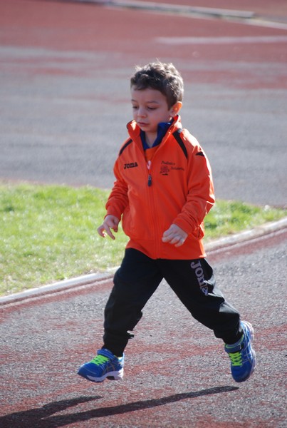 Corso di Atletica Leggera (15/02/2014) 00043
