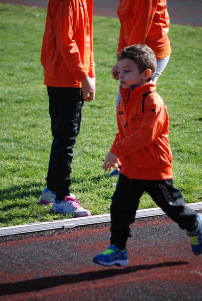 Corso di Atletica Leggera (15/02/2014) 00044