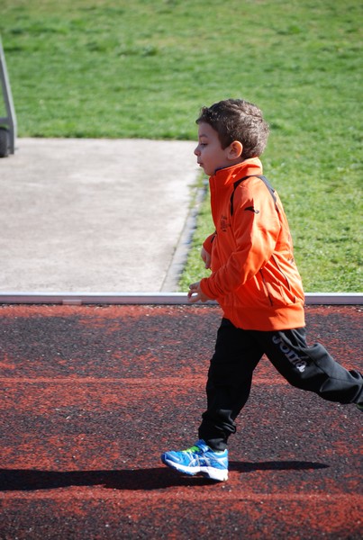 Corso di Atletica Leggera (15/02/2014) 00045