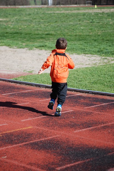 Corso di Atletica Leggera (15/02/2014) 00046