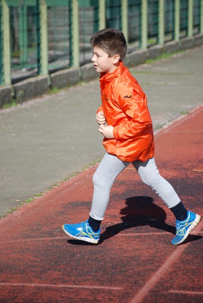 Corso di Atletica Leggera (15/02/2014) 00047