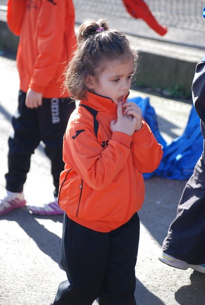 Corso di Atletica Leggera (15/02/2014) 00050