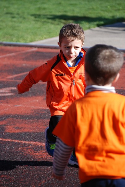 Corso di Atletica Leggera (15/02/2014) 00056