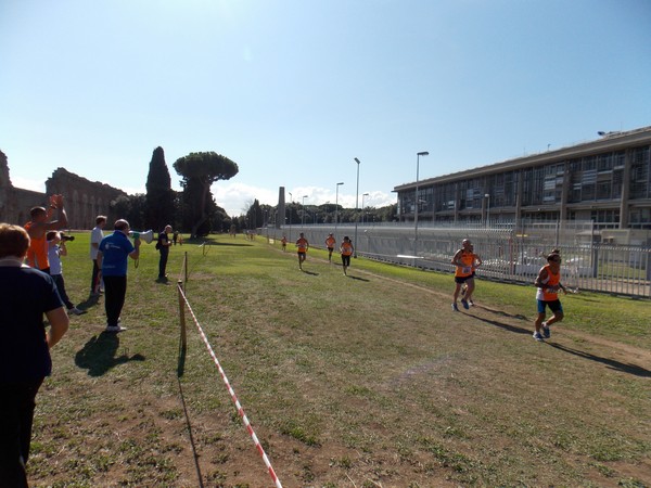 Trofeo Podistica Solidarietà (28/09/2014) 050