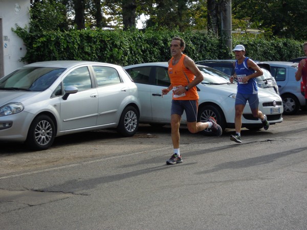 Half Marathon delle Terre Pontine (16/11/2014) 00011