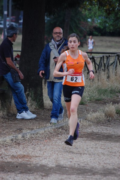 Solstizio d'estate (18/06/2014) 00099