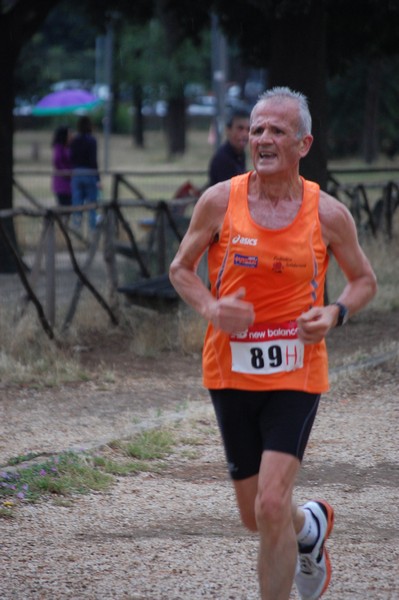Solstizio d'estate (18/06/2014) 00105