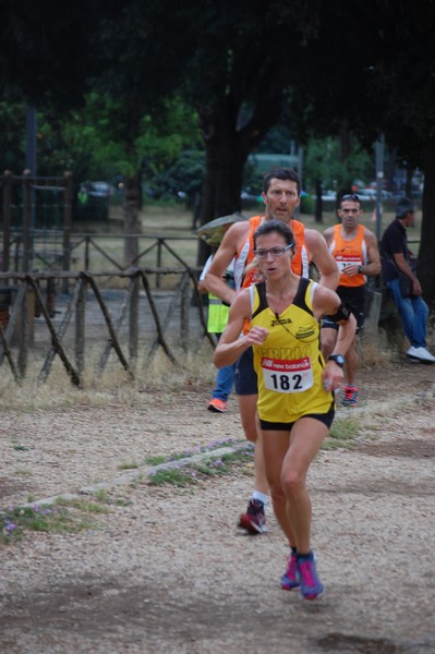 Solstizio d'estate (18/06/2014) 00111